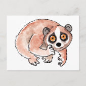 Slow Loris Postcard Postkarte (Vorderseite)