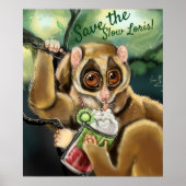Slow Loris Smoothie Poster (Vorne)