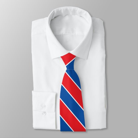 Slowakei Flagge Elegant Patriotic Neck Tie Krawatte (Gebunden)