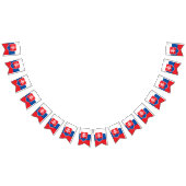 slowakische Flagge (Alle)