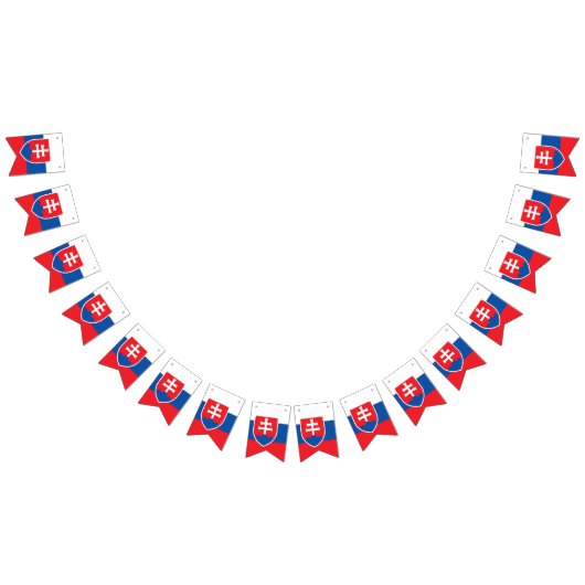 slowakische Flagge (Alle)