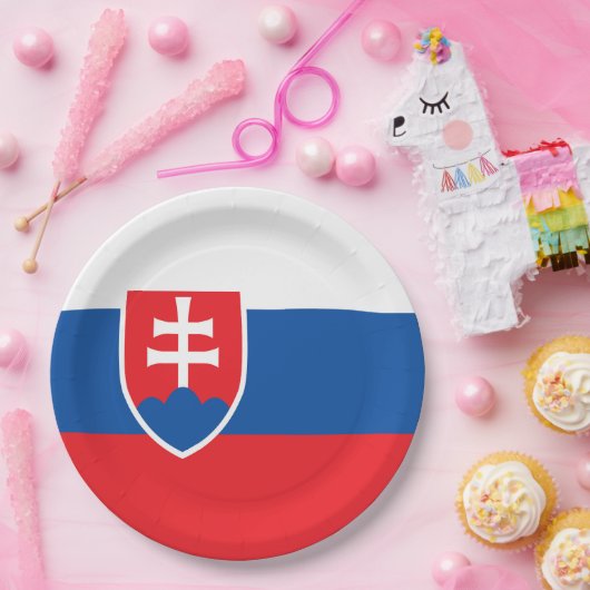 Slowakische Flagge Pappteller (Party)