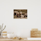 Slowakische Rough Haired Pointer Welpen Poster (Küche)
