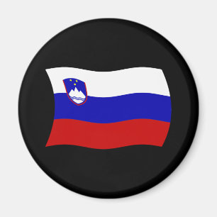 Slowenien Flagge Magnet