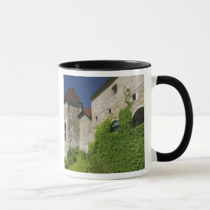 SLOWENIEN, Ljubljana: Burgberg / Ljubljana Tasse