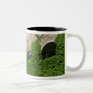 SLOWENIEN, Ljubljana: Burgberg / Ljubljana Zweifarbige Tasse
