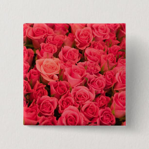 SLOWENIEN, Ljubljana: Öffentlicher Markt Ljubljana Button