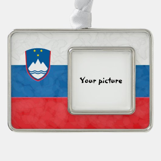 Slowenien Rahmen-Ornament Silber (Vorderseite)