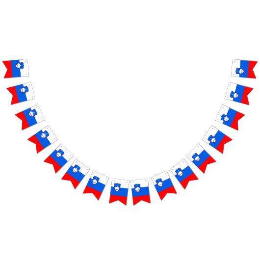 Slowenische Flagge (Alle)