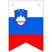 Slowenische Flagge (Erste Fahne)