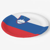 Slowenische Flagge Pappteller (Schrägansicht)