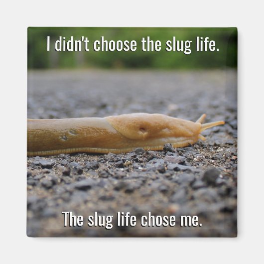 Slug Life Magnet (Vorne)