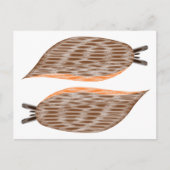 Slugs Postkarte (Vorderseite)