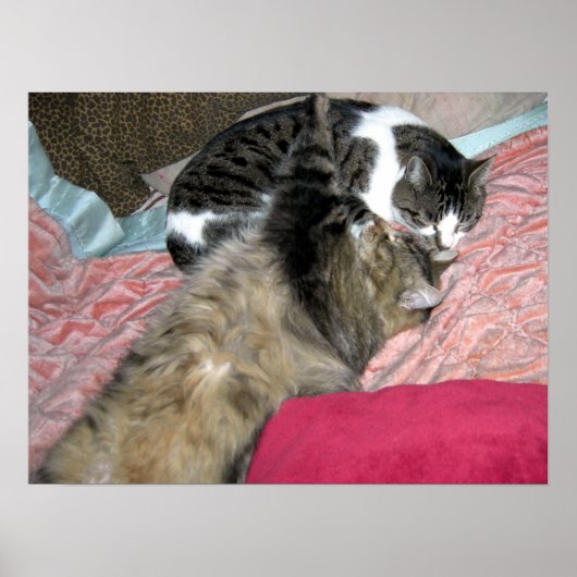 Slumber Buddies Poster (Vorne)