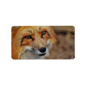 Sly Fox Adressaufkleber (Vorne)