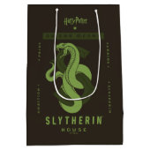 SLYTHERIN™ House auf jeden Fall Mittlere Geschenktüte (Rückseite)