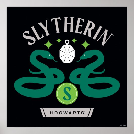 SLYTHERIN™ House Double Snake Locket Graphic Poster (Vorne)