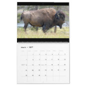 Sm, Med, Lg Calendar Yellowstone Kalender (Mär 2027)