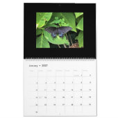 Sm, Med, Lg Calendars - Schmetterlinge Kalender (Jan 2027)
