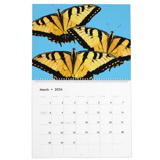 Sm, Med, LG Kalender - Digitale Bilder *** (Mär 2026)