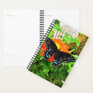 Sm Planer Black Frack Graphic