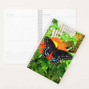 Sm Planer Black Frack Graphic