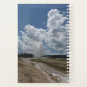 Sm Planner Alter feiner Geyser Planer (Rückseite)
