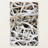Sm Planner Elk Antlers Planer (Vorderseite)