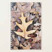 Sm Planner Oak Leaf Planer (Vorderseite)