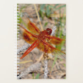 Sm Planner Orange Dragonfly Planer (Vorderseite)