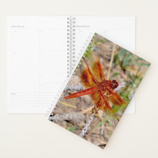 Sm Planner Orange Dragonfly Planer (Anzeige)