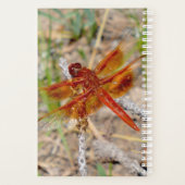 Sm Planner Orange Dragonfly Planer (Rückseite)