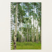 Sm Planner Quaking Aspens @ Yellowstone Planer (Vorderseite)