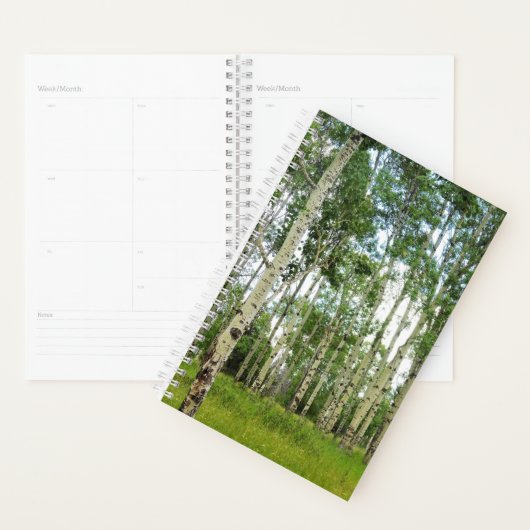 Sm Planner Quaking Aspens @ Yellowstone Planer (Anzeige)
