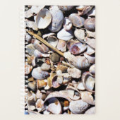 Sm Planner Seashells Planer (Vorderseite)