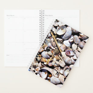 Sm Planner Seashells Planer
