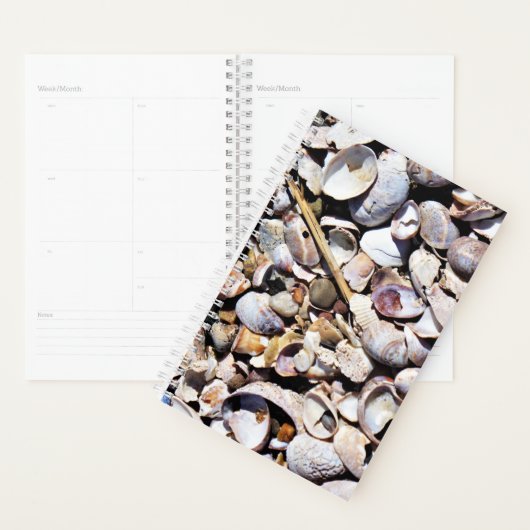 Sm Planner Seashells Planer (Anzeige)