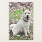 Sm Planner White Akita Planer (Vorderseite)