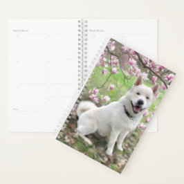 Sm Planner White Akita Planer