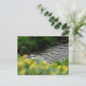 Smal River Yellow Flowers Postkarte (Stehend Vorderseite)