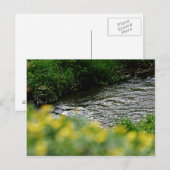 Smal River Yellow Flowers Postkarte (Vorne/Hinten)