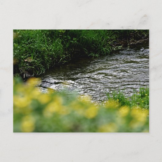 Smal River Yellow Flowers Postkarte (Vorderseite)