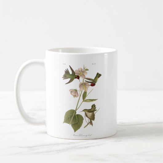 Small Anna Hummingbird Kaffeetasse (Links)