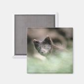 Small Black Wolf Magnet (Vorderseite/Rückseite)