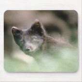 Small Black Wolf Mousepad (Vorne)