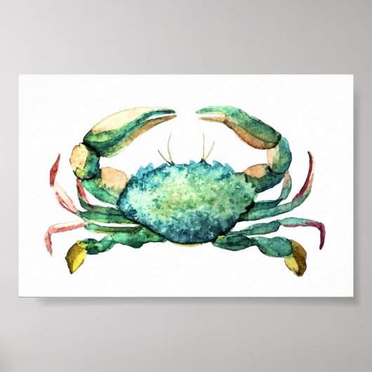 Small Blue Crab Aquarell Print Poster (Vorne)