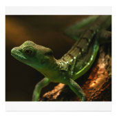 Small Lizard Fotodruck (Vorne)