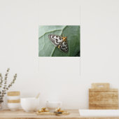 Small Magpie Moth Macro Print Poster (Küche)
