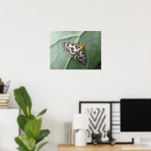 Small Magpie Moth Macro Print Poster (Heimbüro)