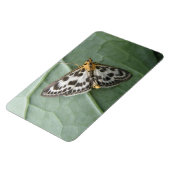Small Magpie Moth Premium Magnet (Linke Seite)
